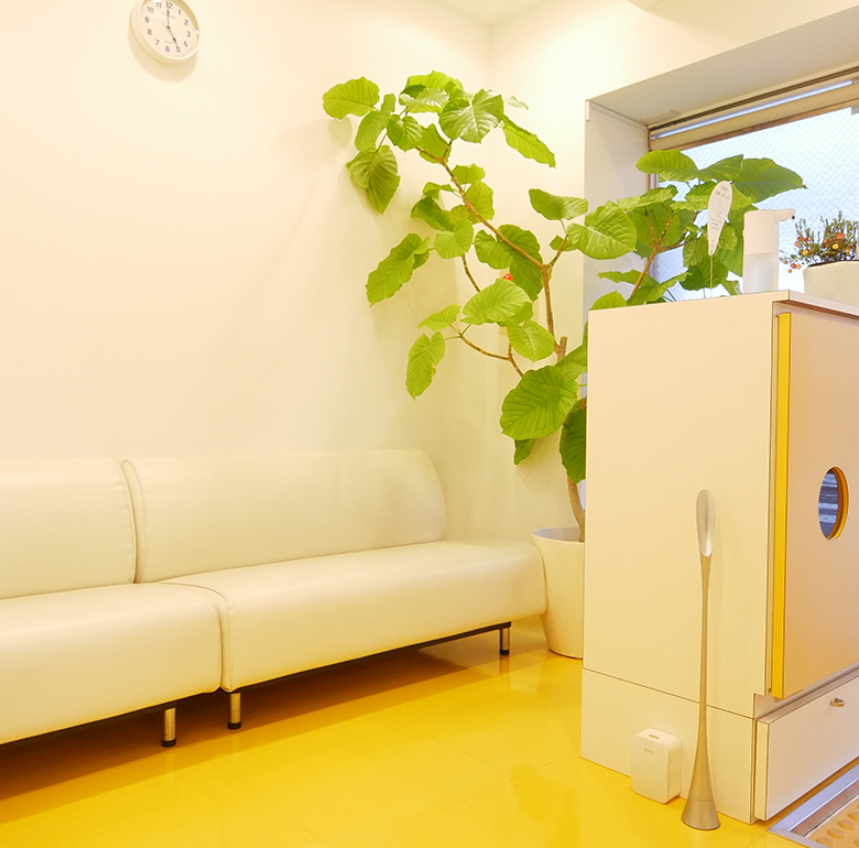 メインビジュアル